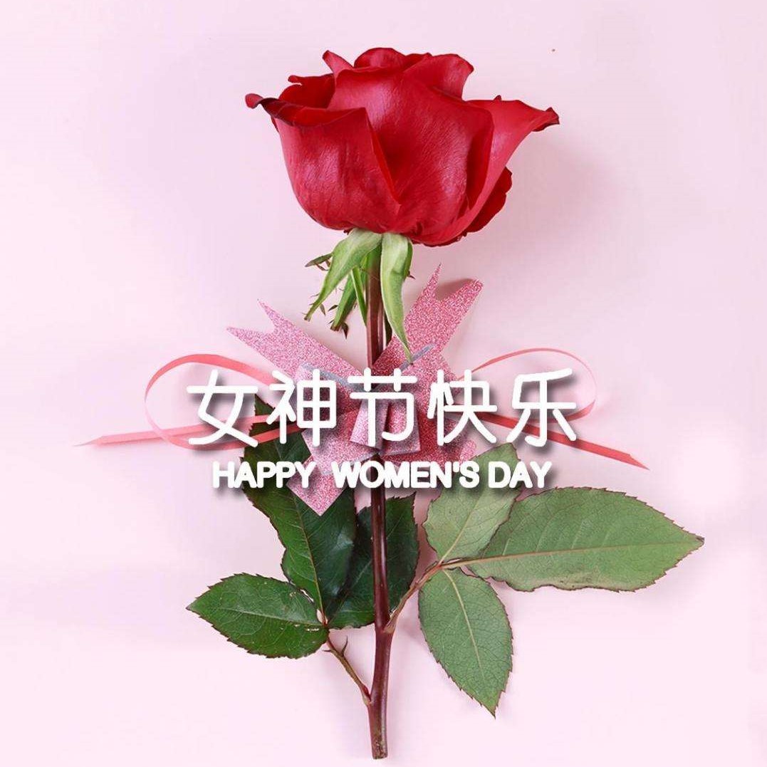 女神節(jié)特輯丨以醫(yī)療力量，筑女性健康